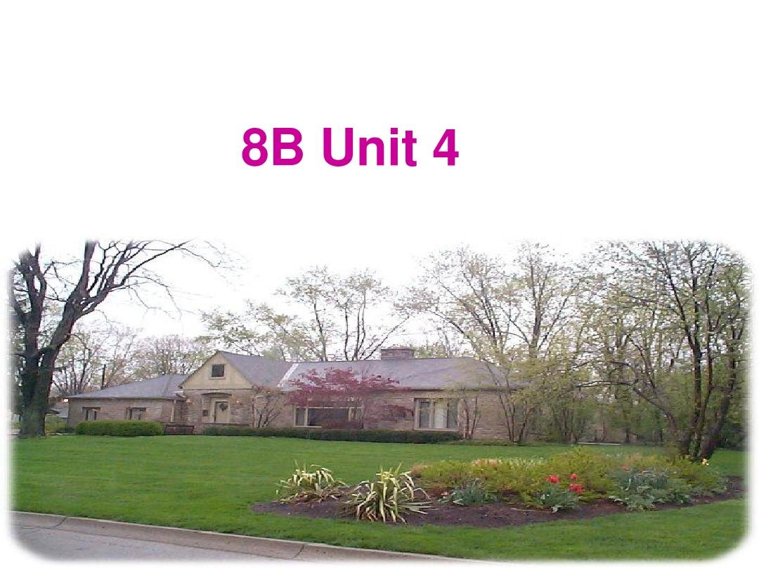 8B Unit4 Revision