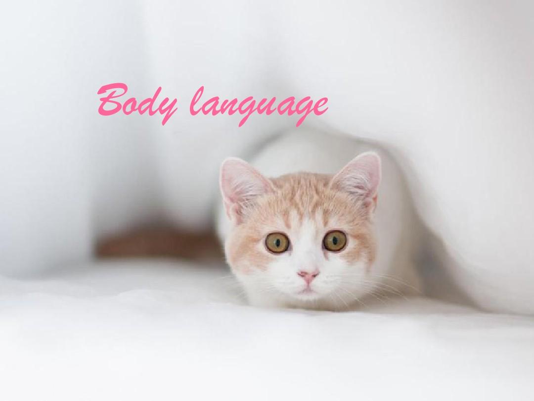 大学英语演讲PPT_body_language