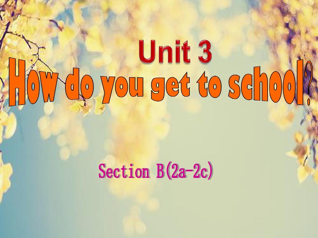 七年级下册-Unit-3-How-do-you-get-to-school-sectionB-(2a-2c)讲课教案