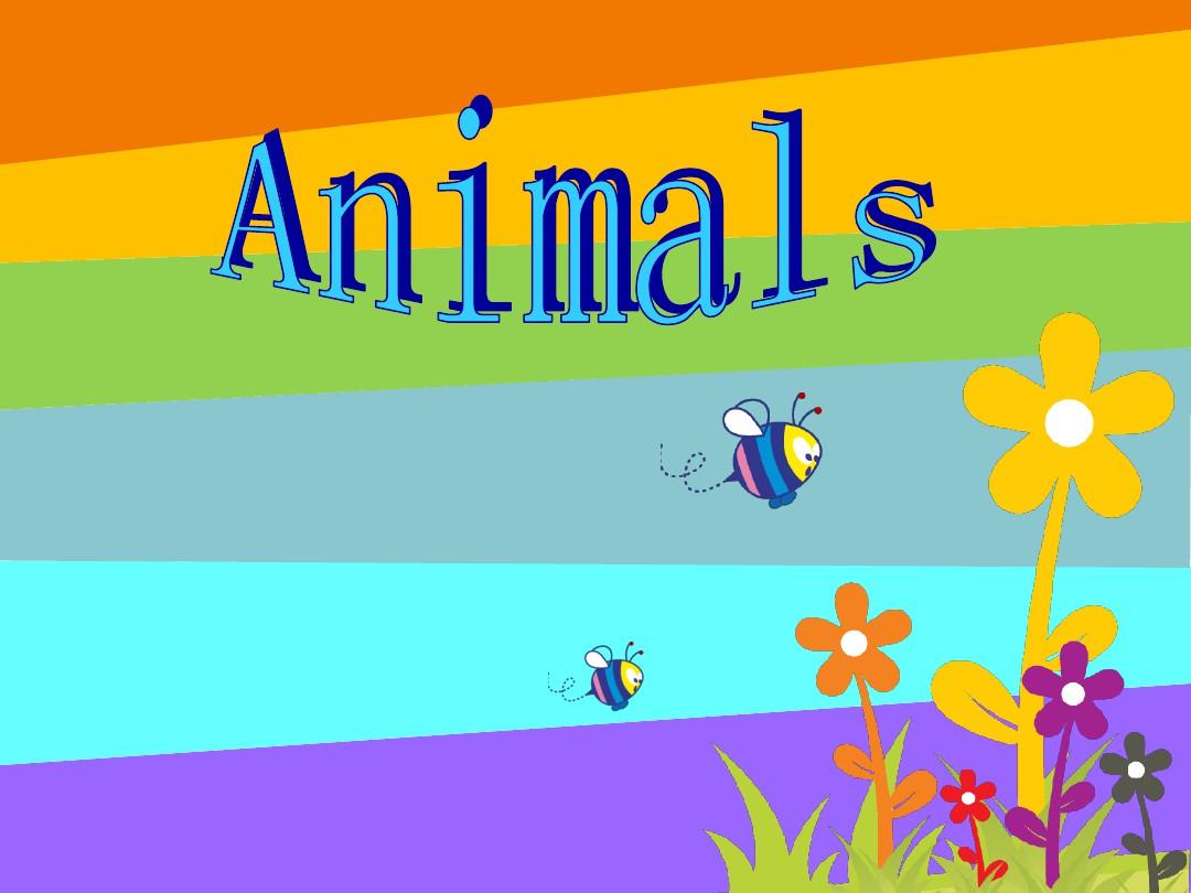 小学英语动物Animals完整ppt课件