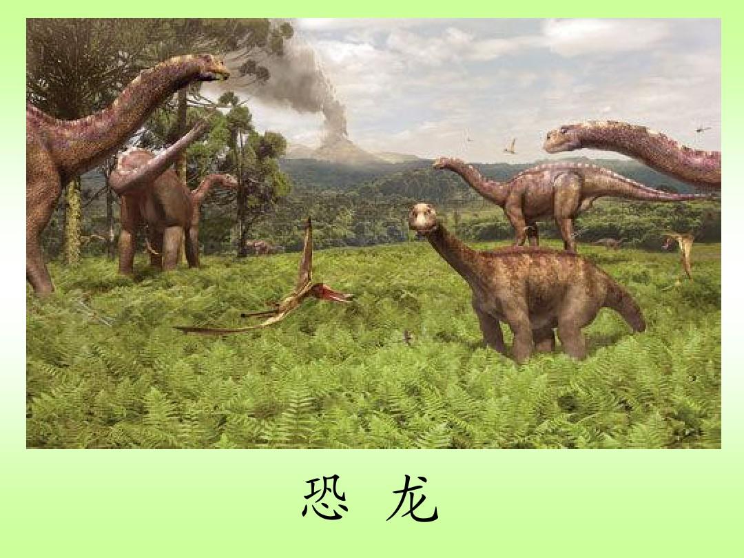 31.恐龙的灭绝