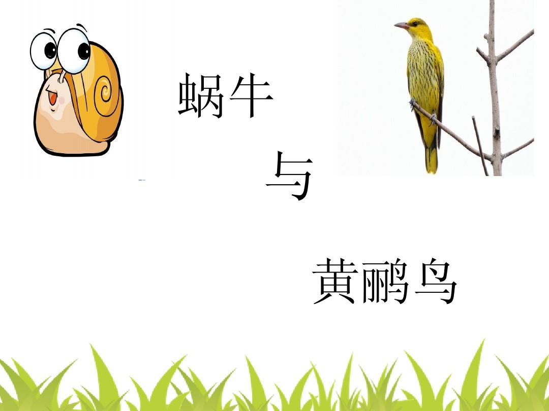 蜗牛与黄鹂鸟ppt