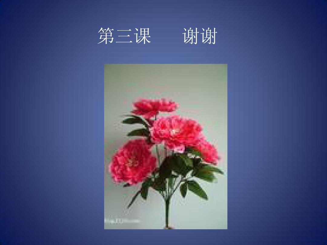 《汉语教程》第一册第三课课件