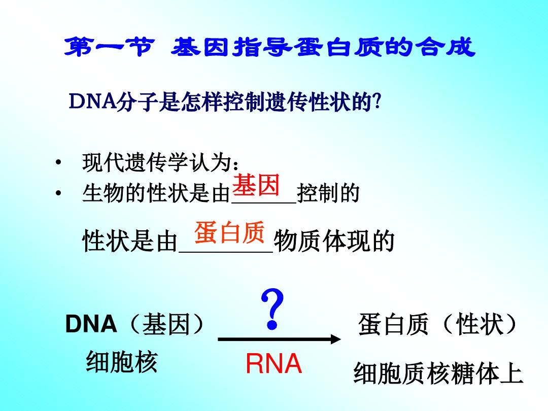 第四章 基因的表达 第一节基因指导蛋白质的合成