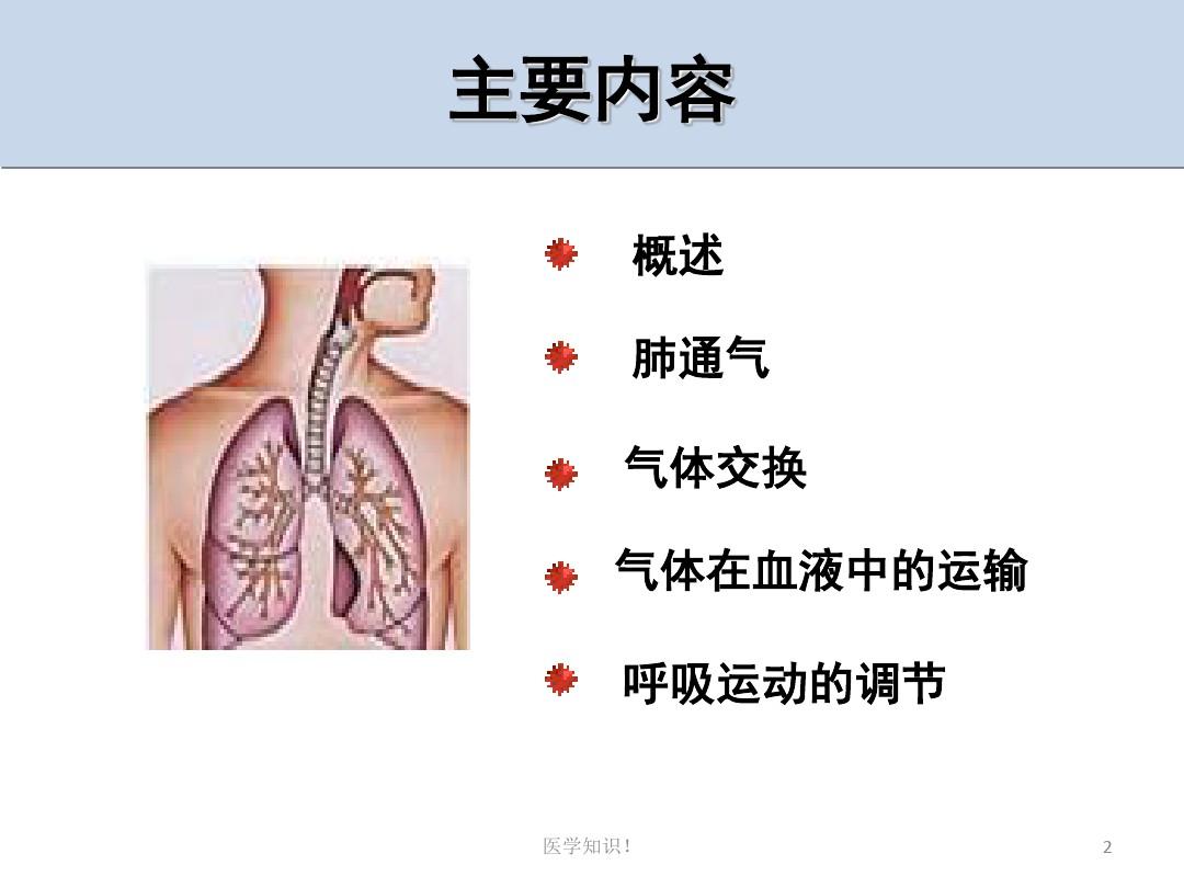 生理学呼吸系统(呼吸与鼻)