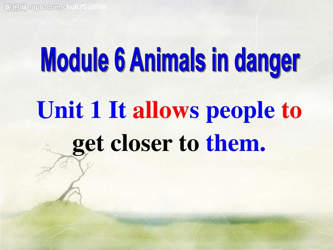 外研版_八年级上册module6 Animals in danger Unit1 It allows people to get closer to them. 第二课时