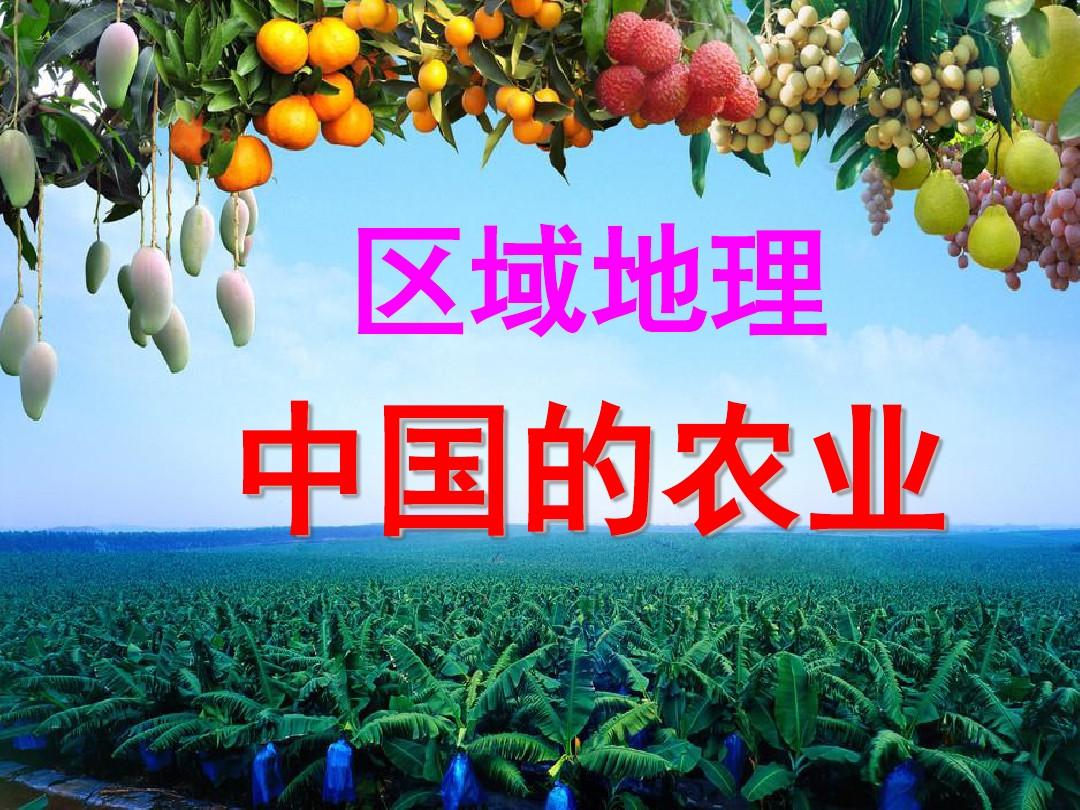 区域地理中国农业公开课