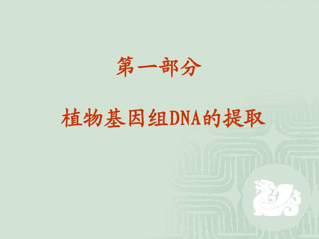 实验8_植物基因组DNA的提取20101104