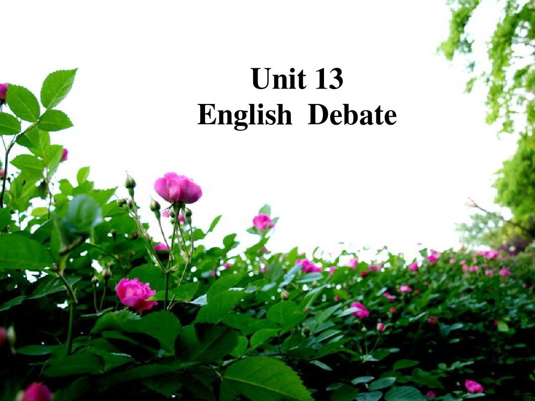 英语辩论lecture12 English debate