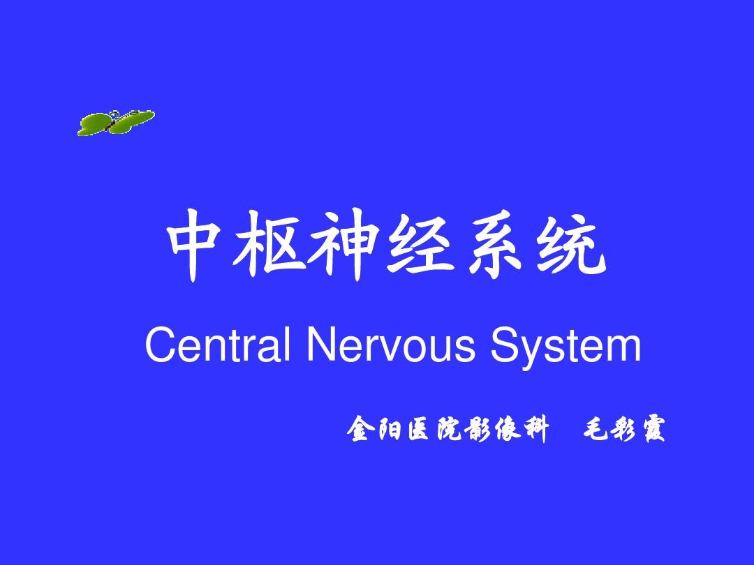 中枢神经系统(系统解剖学)PPT课件