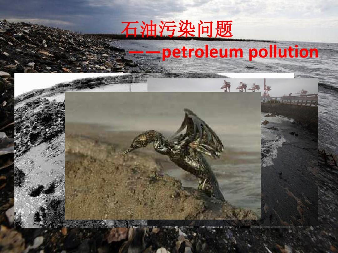 环境污染ppt(包括石油污染和大气污染)