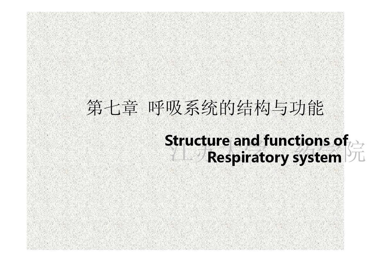 生理-第七章 呼吸系统的结构和功能